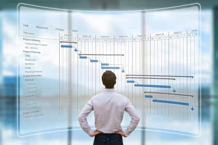 EVMS Roles and Responsibilities: Master Scheduler