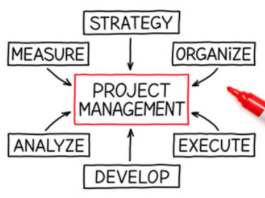 What is Project Management?